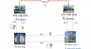 Phương thức nhờ thu trong thanh toán quốc tế