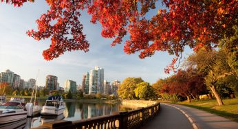VẬN CHUYỂN HÀNG HOÁ ĐI CANADA GIÁ RẺ, UY TÍN, CHẤT LƯỢNG