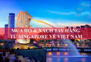 Mua hộ hàng quốc tế từ Singapore về Việt Nam
