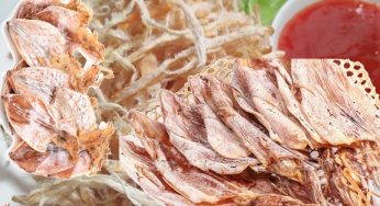 VẬN CHUYỂN KHÔ MỰC ĐI CANADA
