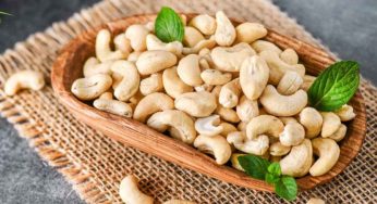 Chuyển phát nhanh hạt điều mẫu đi Nhật Bản 