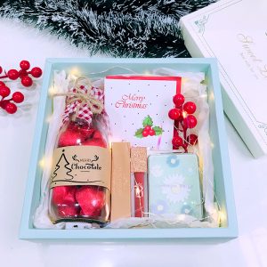 Dịch vụ gửi cây thông, quà Noel đi Mỹ nhanh chóng