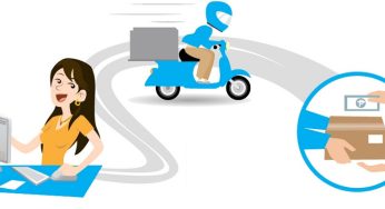 VẬN CHUYỂN XOÀI CÁT HÒA LỘC NỘI ĐỊA