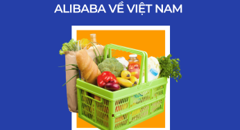 Cách mua hàng trên Alibaba về Việt Nam