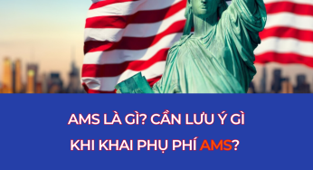 AMS là gì? Cần lưu ý gì khi kê khai phí AMS?