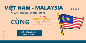 Dịch vụ vận chuyển thú cưng uy tín từ Việt Nam đi Malaysia