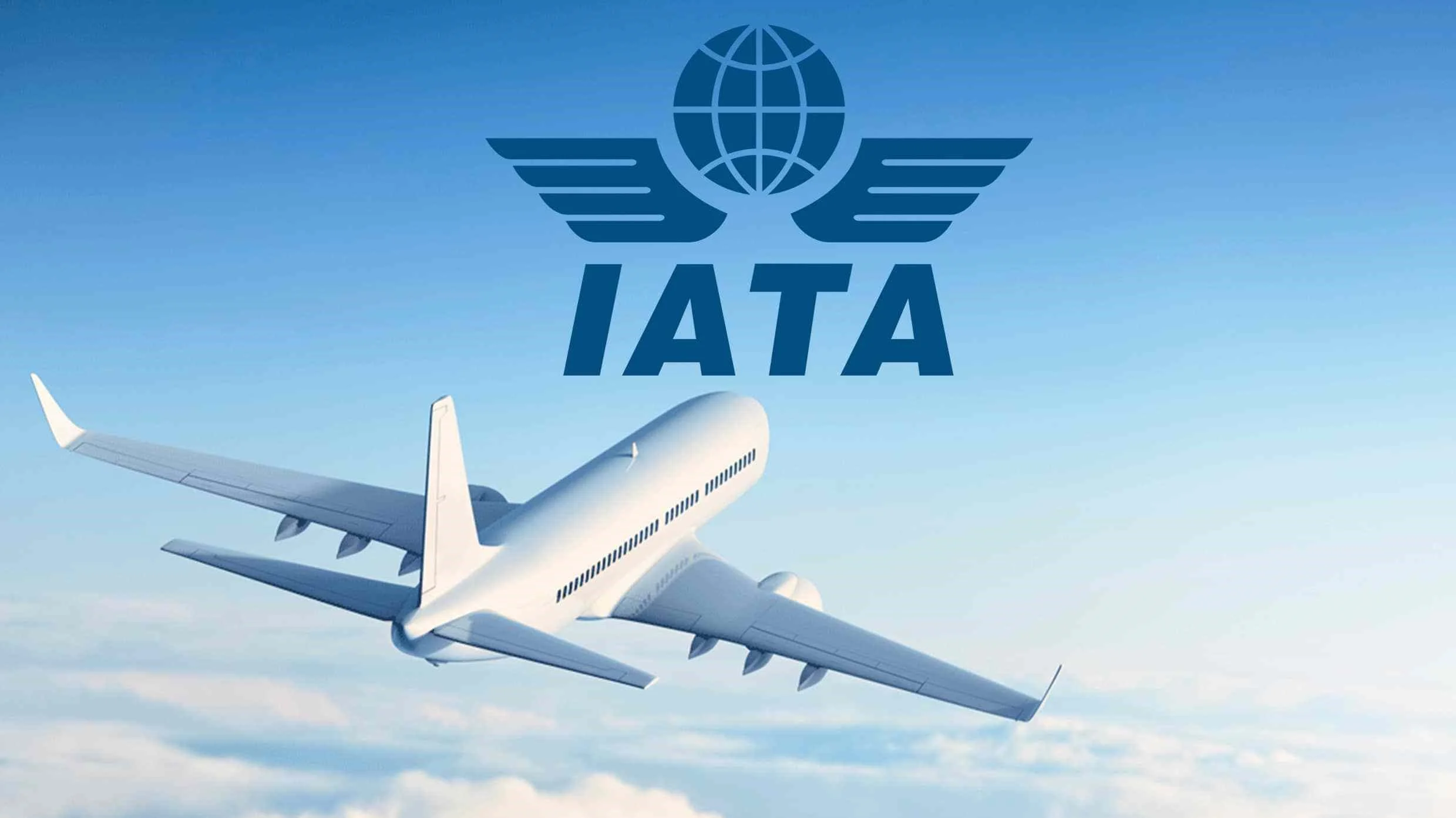 IATA Hạ Dự Báo Tăng Trưởng Air Cargo Năm 2026