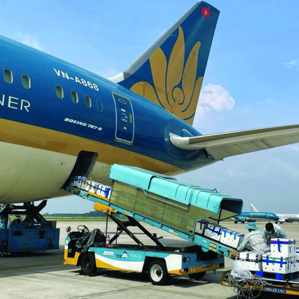 Air Cargo Việt Nam tăng trưởng tích cực dịp Quốc khánh 2/9: Hàng hóa quốc tế tiếp tục giữ đà tăng
